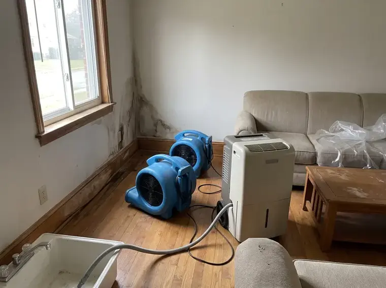 Air movers and a dehumidifier drying a living room after water damage in Auburn