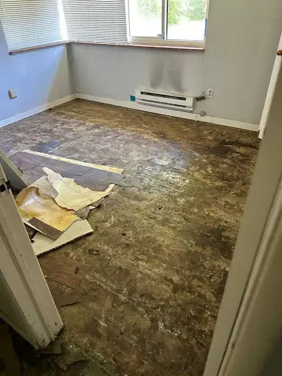 Subfloor exposed after wet flooring was removed from a bedroom