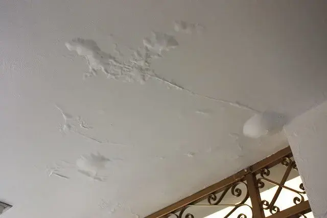 Ceiling paint bubbling from water held in the ceiling above