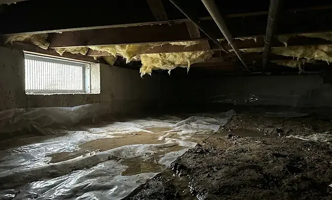 Standing water on the torn vapor barrier of a wet Auburn crawl space